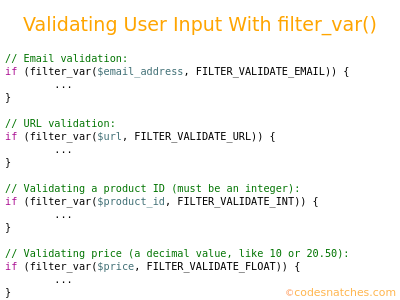 A representative image for the article Validating User Input With the filter_var() Function